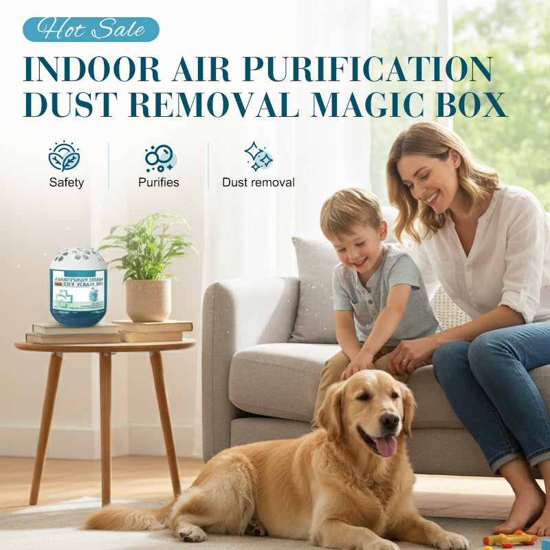 🎉 New Year Special: 50% Off 🎁 Indoor Air Purification & Dust Removal Magic Box 🏠🌿 – Child‑Safe 💕